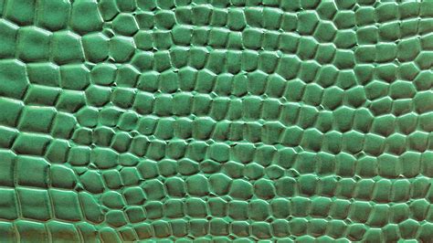 Green Crocodile Skin Background Free Stock Photo - Public Domain Pictures