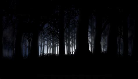 Dark Forest HD Wallpaper - WallpaperSafari