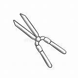 Pruning Stock Illustrations – 1893  sketch template