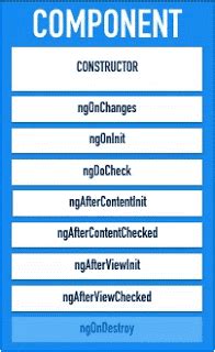 Overview Of Angular 2 Lifecycle Hooks