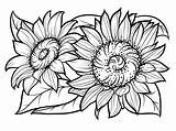 Easy Sunflower Coloring Page  Free Printable Pages For Kids sketch template