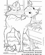 Printable Farm Animal Coloring Sheets 028 sketch template