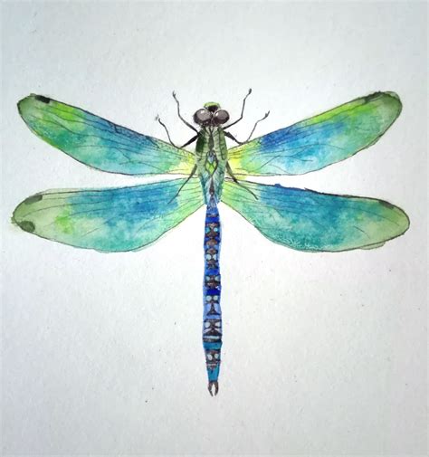 Dragonfly Drawing With Colour