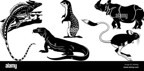 Animal silhouettes set isolated on white. Basilisk lizard, Ground Squirrel, Komodo Waran, Jerboa ...