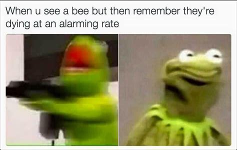 When u see a bee but remember they're dying at an alarming rate | Kermit the Frog | Know Your Meme