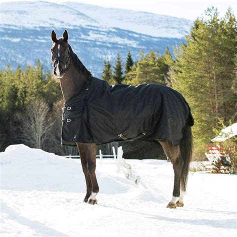 10 Best Horse Balnkets for all Seasons (Winter & Rain)