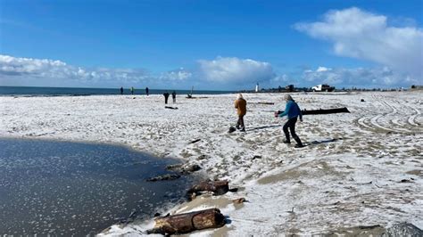 Winter storm brings heavy rain, rare snow to parts of California | Weather News | Al Jazeera