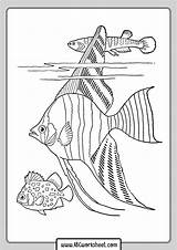 Aquarium Fish Coloring Page  ABC Worksheet coloring sketch template