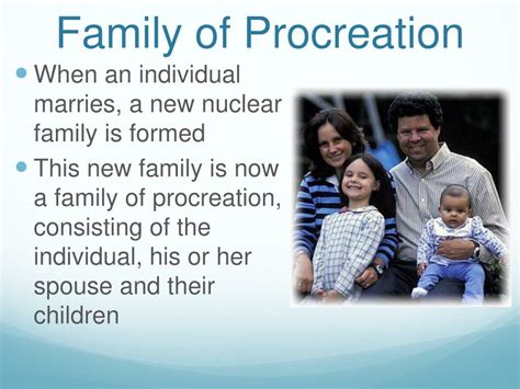 What Is Family Of Procreation