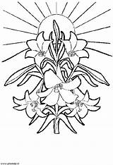 Coloring Page  Funeral Coloring Pages 26 sketch template