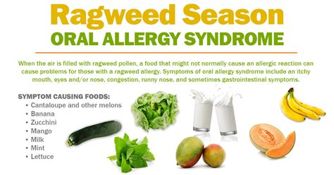 Ragweed: What it is & how to avoid its consequences