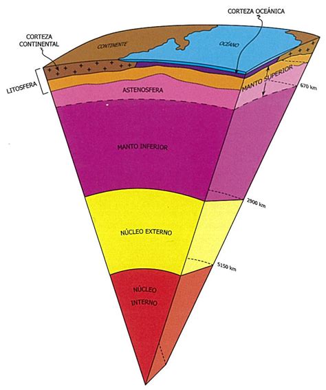 CORTEZA TERRESTRE | Mapa Mental