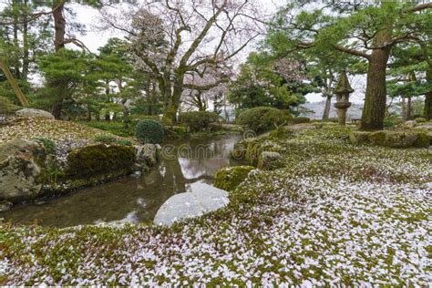 Kenrokuen Garden, Kanazawa, Japan Stock Photo - Image of bloom, tower ...