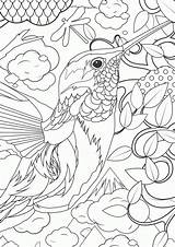 Free Detailed Coloring Pages For Older Kids  Home sketch template