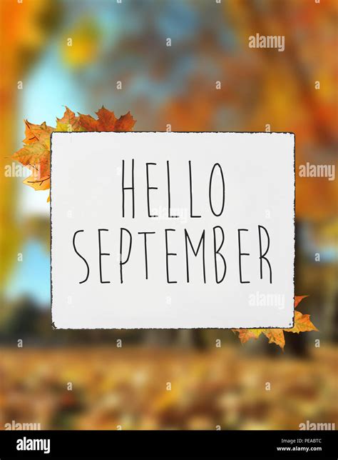 Hello September autumn text on white plate board banner fall leaves ...