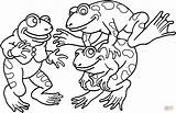Three Frogs coloring Page  Free Printable Coloring Pages sketch template