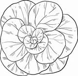 Salad coloring Page  Free Printable Coloring Pages sketch template