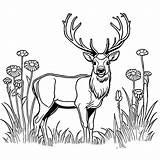 Simple elk coloring Page Lulu Pages sketch template