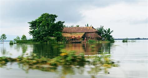 Beautiful Bangladesh: a village life | A home surrounded by … | Flickr