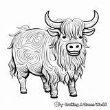 Yak Coloring Pages  Free & Printable sketch template
