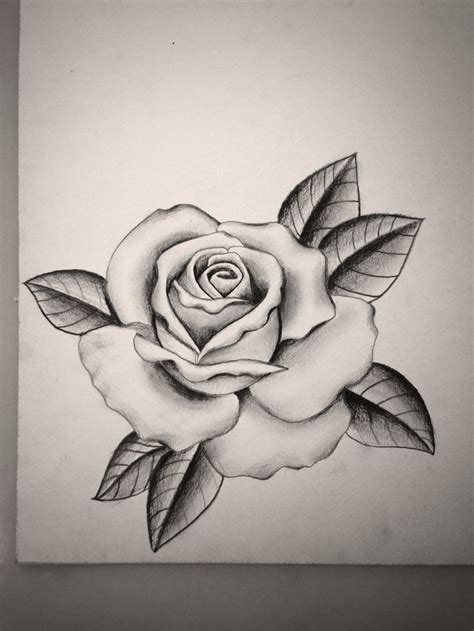 22+ cute drawings of roses - LanceFinlay