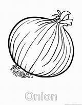 Onion Coloring Pages For Kids sketch template