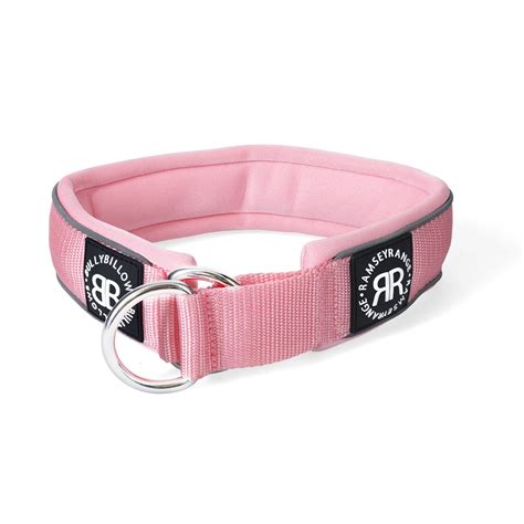 BullyBillows Slip On Collar – Pink – Pure & Raw Dog Food