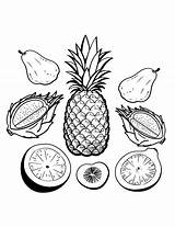 Fruit Coloring Pages PDF A Fun And Educational Activity For Kids sketch template