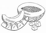Melons Coloring Pages Printable For Free Download sketch template