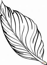 Feather Quill Pen coloring Page  Free Printable Coloring Pages sketch template