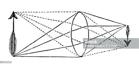 Diagram Of The Optical Axis Of A Human Eye 19th Century Stock Illustration - Download Image Now ...