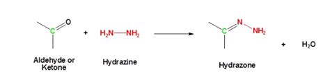 Wolff Kishner Reduction Mechanism - Explanation of Reaction and Process