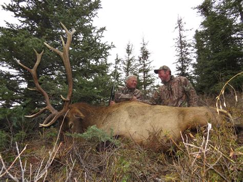 Great Elk hunting season | Big Nine Outfitters