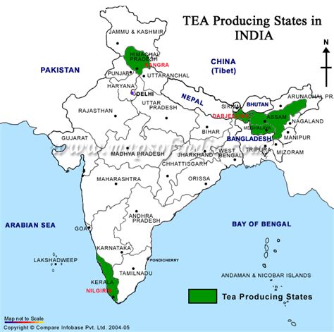 India's Tea Producing States | Tea history, India map, Tea estate