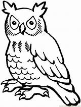 Cartoon Owl Coloring Pages  Clipartsco sketch template