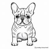 French Bulldog Printable Coloring Pages  Free & sketch template
