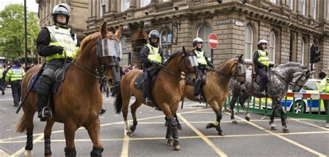 What You Need to Know about Mounted Police - LubriSynHA