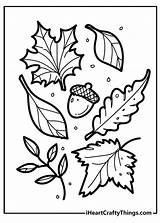 Easy Coloring Pages For Fall At Genmessiahblog Blog sketch template