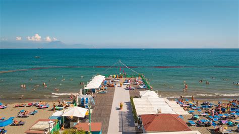 Top 10 Beach Hotels in Naples $32: Hotels & Resorts near the Beach in 2020