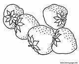 Tasteful Strawberry Fruit S5ee3 Coloring Page Printable sketch template
