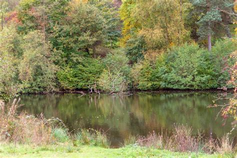 Lake in Winkworth Arboretum Stock Photo - Image of water, lake: 142628292