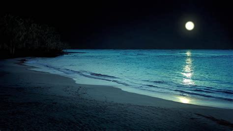 Walt Whitman – On the Beach at Night Alone | Genius