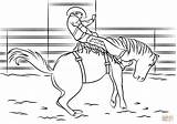 Saddle Bronc Rodeo coloring page  Free Printable Coloring Pages sketch template