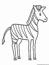 Zebra Coloring Pages  Free Printable Kids sketch template