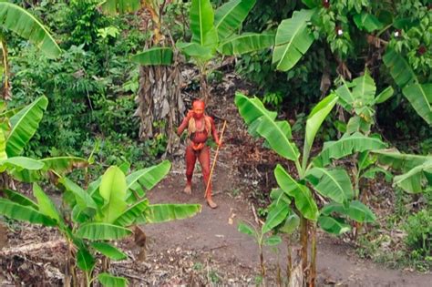 Descubren una nueva tribu de no contactados en el Amazonas, y corren un gran peligro: así actúan ...