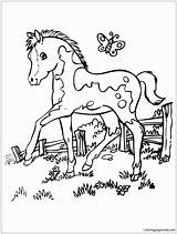 Marvelous Cute Horse Coloring Page  Free Printable Pages sketch template