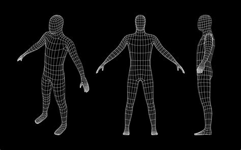 Man body grid. Human wireframe 3d model, polygonal simple male mesh ...