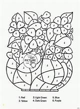 Magic Tree House Coloring Pages Free  Divyajanan sketch template