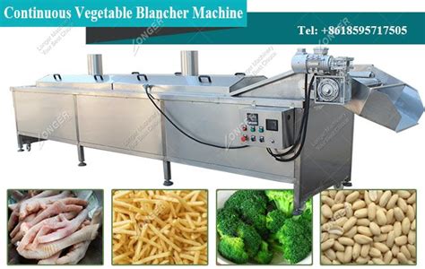 Which Equipment Used for Blanching French Fries | Vegetable Blancher