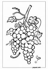 45  Vineyard Vines Valentine Coloring Pages FREE PDFs sketch template